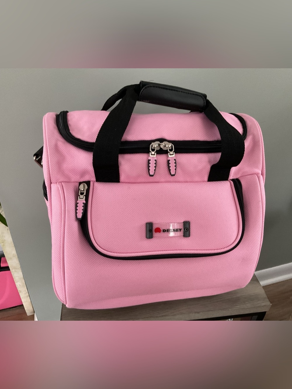 Delsey Paris Carry-on Weekender Travel Bag